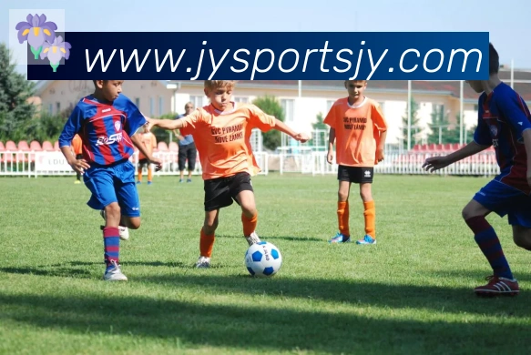 九游体育官网荣誉